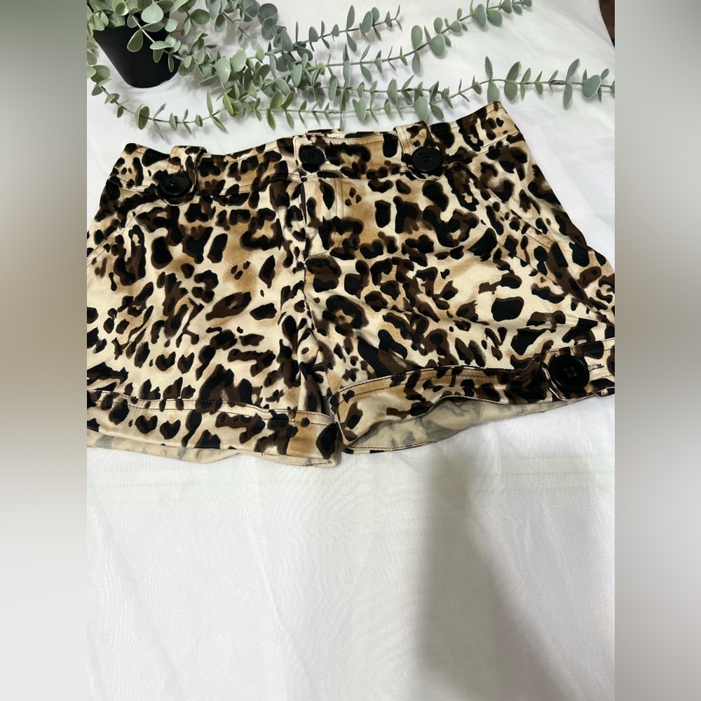 Cache Leopard Print Cuffed Stretch Cotton Shorts Size 0